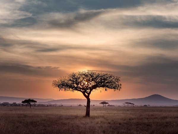 Nature Congo